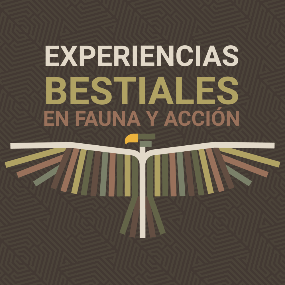 EXPERIENCIA BESTIAL 1 ANIMAL (1:00h)
