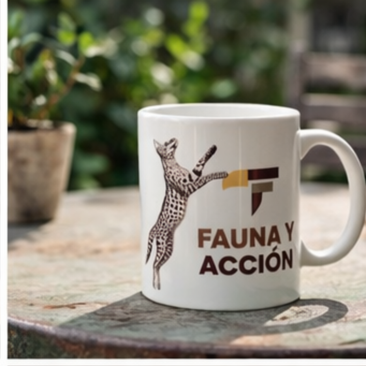 TAZA OFICIAL FAUKANA - Imagen 3